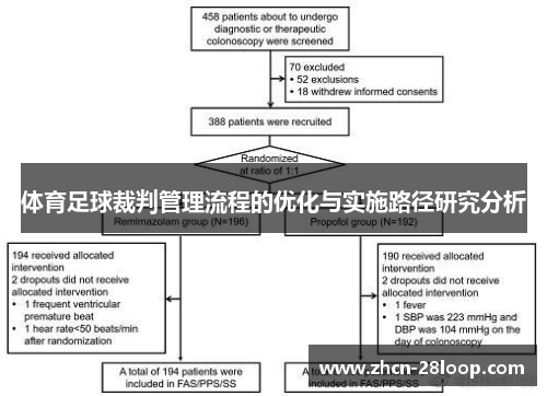 体育足球裁判管理流程的优化与实施路径研究分析