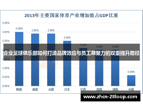 企业足球俱乐部如何打造品牌效应与员工凝聚力的双重提升路径