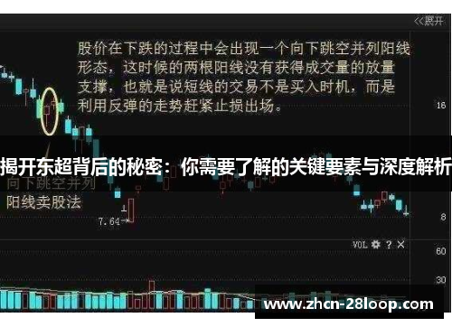 揭开东超背后的秘密:你需要了解的关键要素与深度解析