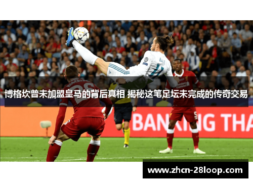 博格坎普未加盟皇马的背后真相 揭秘这笔足坛未完成的传奇交易 博格坎普未加盟皇马的背后真相 揭秘这笔足坛未完成的传奇交易